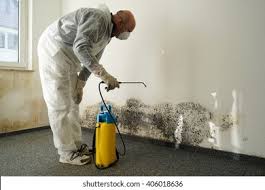 Why You Should Choose Our Mold Remediation Services in Media, PA